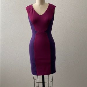 Antonio Melani dress